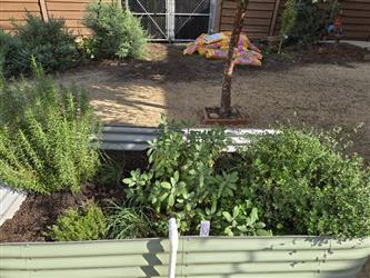 Marigold Garden Club