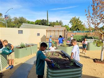 Marigold Garden Club