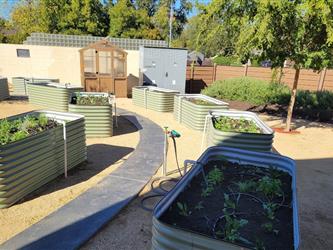 Marigold Garden Club