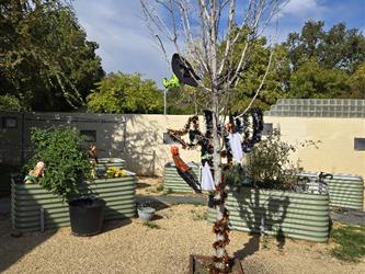 Marigold Garden Club